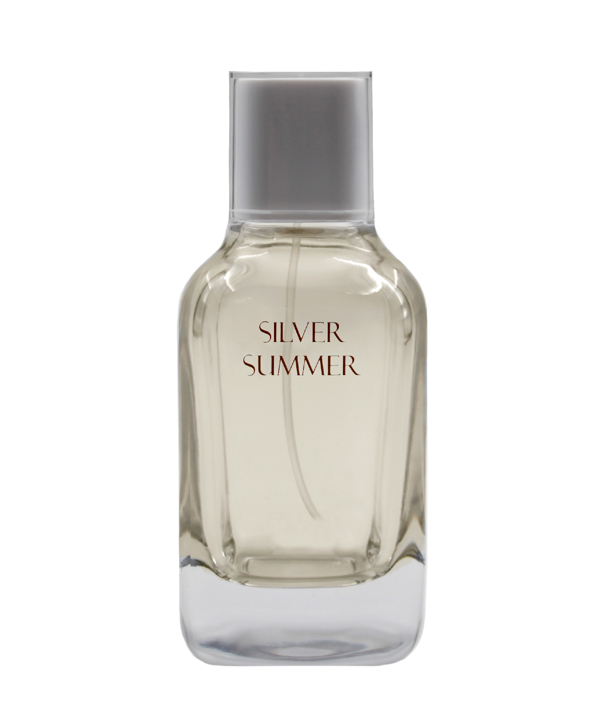 تصویر زارا سیلور سامر برای مردان